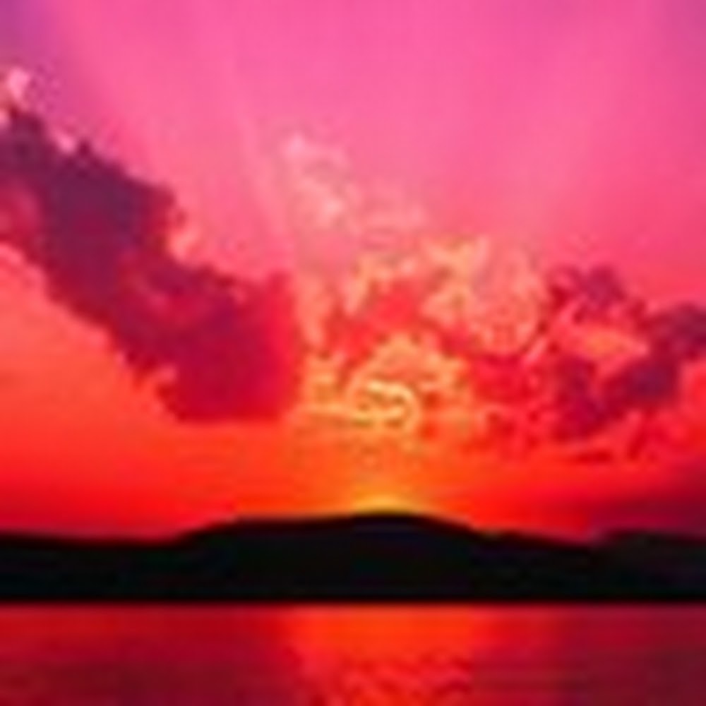 Meet your Posher, Sophia